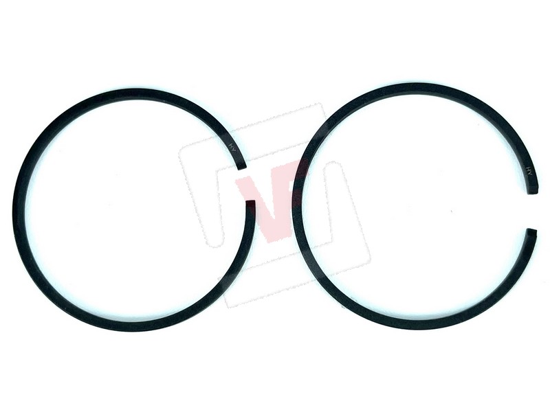 Globex FASCE ELASTICHE PER...