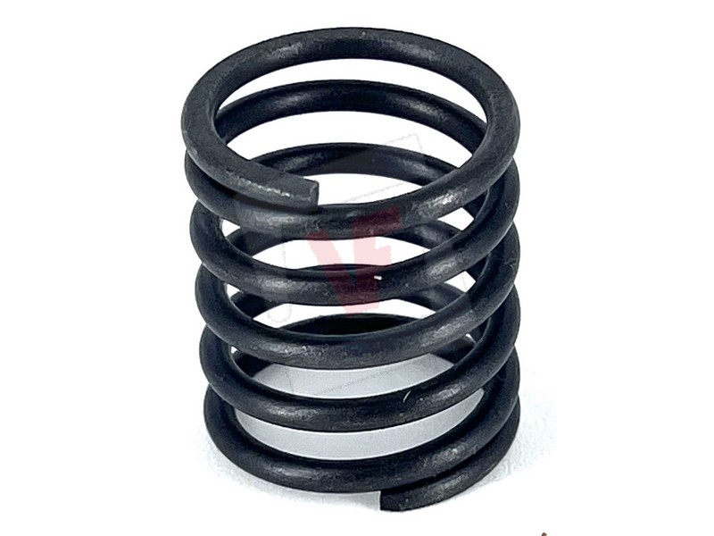 REPLACEMENT VALVE SPRING...