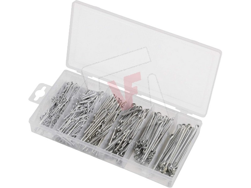 COPIGLIE ASSORTITE IN...