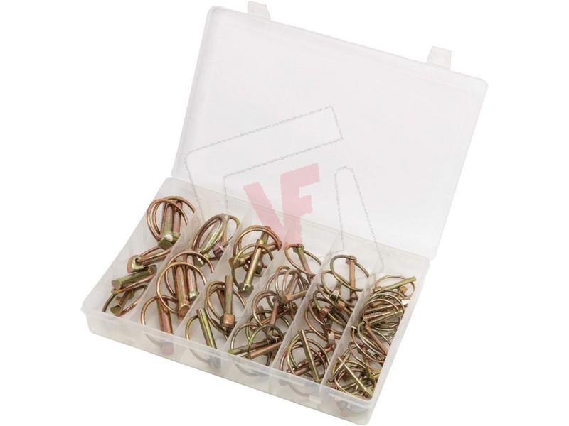 COPIGLIE A SCATTO ASSORTITE...