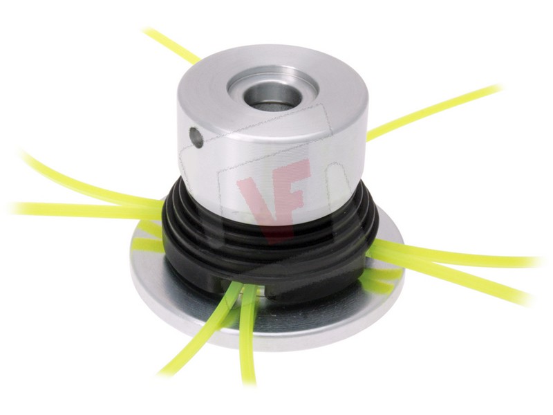 Globex TESTINA PER...