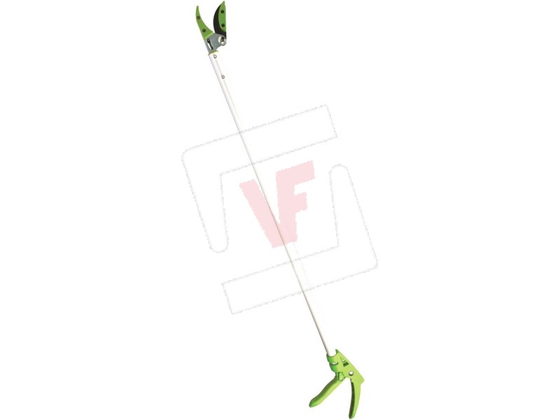 CESOIA RACCOGLI FRUTTA IN...