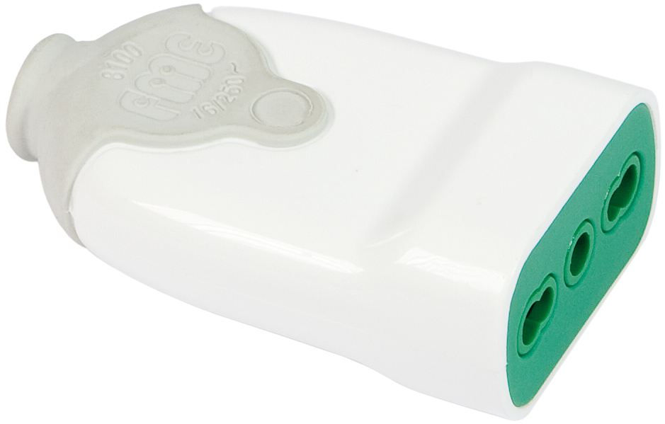 Fanton PRESA SEMPLICE 2P+T 10/16A