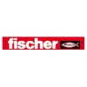 Fischer